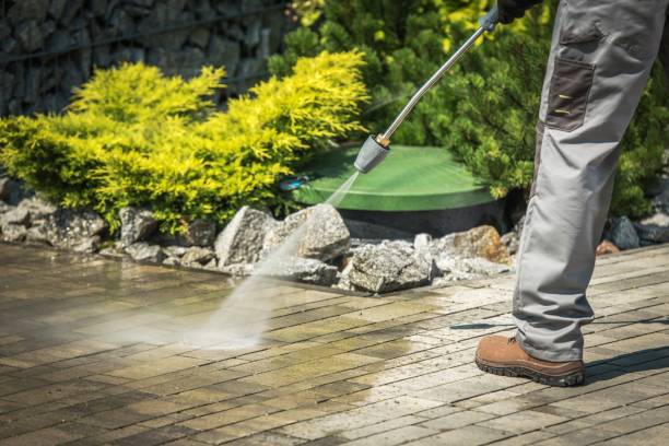 Best Pre-Holiday Cleaning  in Reading, PA