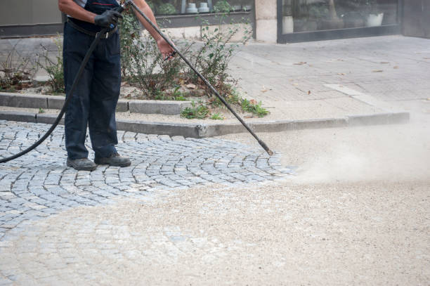 Best Fence Cleaning  in Reading, PA